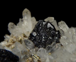 SPHALERITE & QUARTZ  --- closed locality !!! ROMANIA Maramures CAVNIC /ph142 - Picture 1 of 15