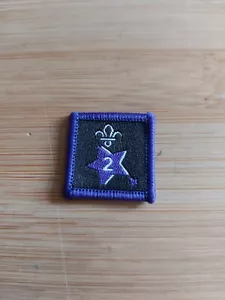 UK Scouting Current Joining In Badge Year 2 NEW LOGO - Picture 1 of 1