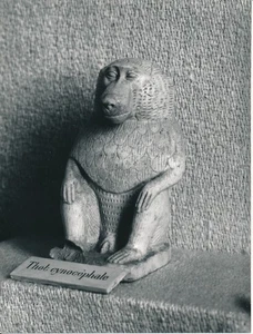 PARIS c. 1960 - Musée du Louvre Thot Cynocéphale - NV 7763 - Bild 1 von 2