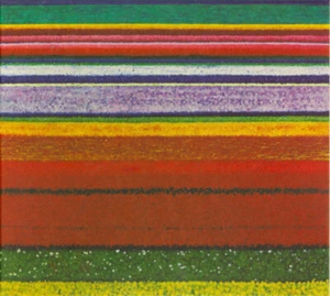 CD, Album City And Colour - Little Hell - Bild 1 von 1