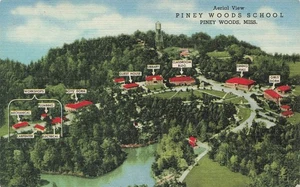 PINEY WOODS MS PINEY WOODS SCHOOL 1956 VINTAGE LINEN POSTCARD 110325 U - Picture 1 of 2