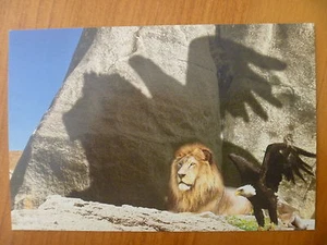 POSTAL... ZOOLÓGICO DE ADELAIDA Y MONARTO... LEÓN Y ÁGUILA CON SOMBRA CONJUNTA SOBRE ROCA - Imagen 1 de 2