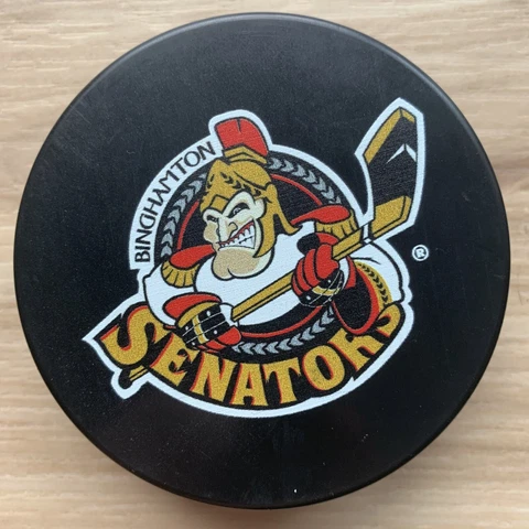BINGHAMTON SENATORS AHL HOCKEY PUCK Sher-wood InGlasCo Souvenir Made in SLOVAKIA Cover