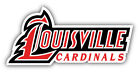 St. Louis Cardinals MLB Baseball Sport Logo Car Bumper Sticker Decal ''SIZES''