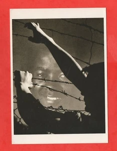 Photo Jànos Vàsàry - Mountain 1963 (J3794 - Bild 1 von 1