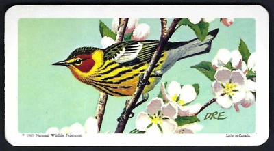 BROOKE BOND (CANADA) - CANADIAN / AMERICAN SONGBIRDS - #28 CAPE MAY WARBLER - Image 1 of 2