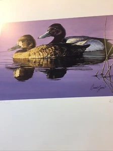 Minnesota Duck Print, Brian Jarvi, , 1986, Mint Stamp, Unframed.Mint # 318/3150. - Picture 1 of 12