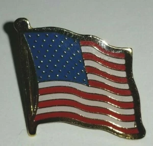 FLAG LAPEL/HAT COMMEMORATIVE PIN - Picture 1 of 1