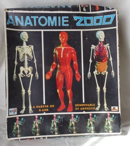 ANATOMIE 2000 COFFRET CORPS HUMAIN ARTICULE SQUELETTE ORGANES SCIENCE - Photo 1/5