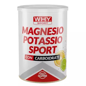 WHY SPORT MAGNESIO POTASSIO SPORT 300 GR Agrumi - Foto 1 di 1