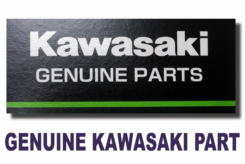 Radio interior trasero y boquilla Kawasaki KX125 KX250 KX400 1973-1976 41027-057 Foto 1 de 4