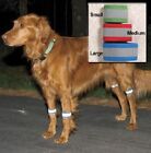  Bands de jambes réfléchissants ~ Keep Your Dog Safe & Seen