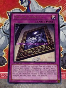 Yu Gi Oh Karte GRAUES GEFÄNGNIS SHSP-FR078 - Bild 1 von 1