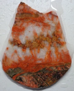 WRG- Raro losa de llama del desierto rojo 47 gramos ágata esponja fósil lapidaria - Imagen 1 de 4