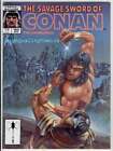 SAVAGE SWORD of CONAN #163, VF/NM, Code of the Wolf, Gil, more SSOC in store