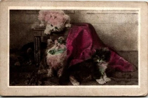Divided Back Postcard Four Cute Kittens Playing UNP - Picture 1 of 2