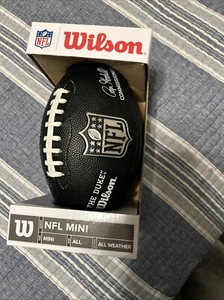 Wilson "The Duke" NFL Replica Mini Football Roger Goodell RAR Brandneu - Bild 1 von 6