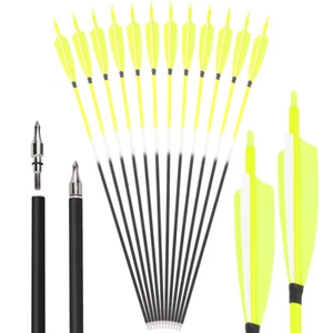 6/12 Archery 30" Carbon Arrows 4" 5" Feathers SP500 Recurve Compound Bow Hunting - Picture 1 of 23