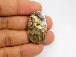 100% Natural Abalone Shell Gemstone Cabochon Loose For Jewelry 42 Cts. ME-4352 - Picture 1 of 5