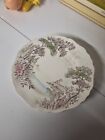 English Staffordshire "Olde Avon Dale" Plates Made In England Vintage