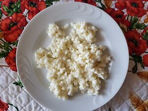 ✔️20 gm KEFIR DI LATTE BIO GRANI PROBIOTICO FERMENTI LATTICI VIVI + ISTRUZIONI