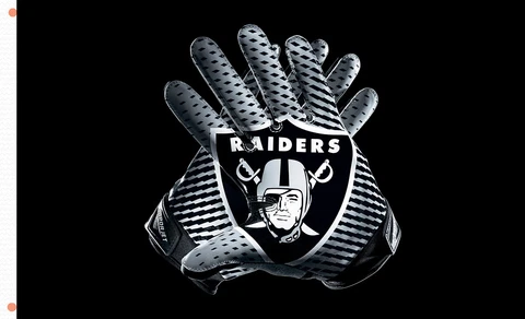 Las Vegas Raiders FLAG Gloves Memorable Flag 90x150cm 3x5ft best team banner Cover