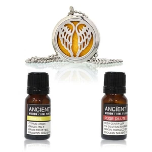 Necklace Diffuser With Essential Oils Gift Set - Picture 1 of 6