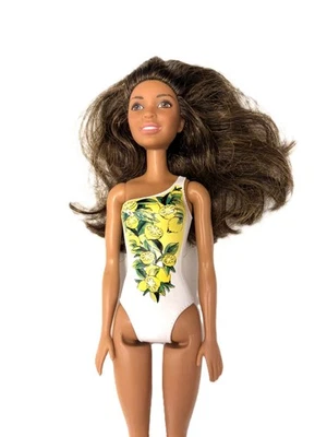 Muñeca Nikki Barbie Beach Water Play 2015 Mattel Foto 1 de 4