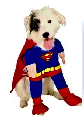 Lote de mascotas, jersey deportivo, pij, polos, disfraz, abrigos, suéteres, todas las tallas XL (cantidad) Foto 1 de 4