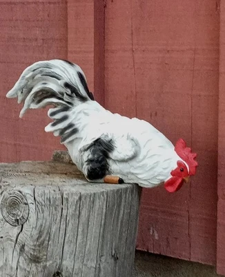 Estante Cuidador Pollo País Decorativo Gallo Japonés Borde Agachado  Foto 1 de 4