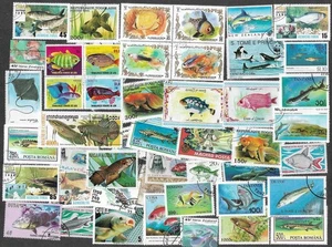 Fish on stamps 50 all different Collection       B    4.11.25 - Picture 1 of 1
