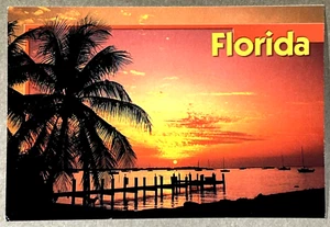Florida Sunset Postcard - Picture 1 of 2