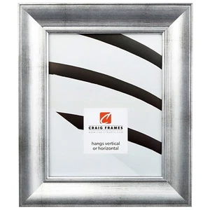 Craig Frames Verandah, 2" Brushed Silver Picture Frame - Picture 1 of 10