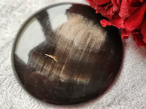 Enorme bouton ancien en corne vintage bombé plat 4,2 cm ref 532 - Foto 1 di 4