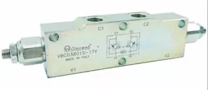 Counter Balance Load Hold Craning Valve Dual 60-350 Bar 3/4" Bsp Ports Italian - Picture 1 of 10