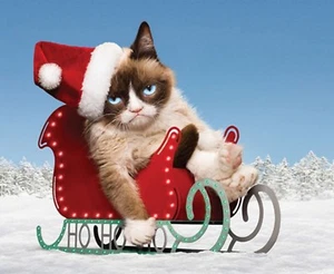 Transferencia de hierro para gato gruñón de Navidad para camiseta y telas de color claro #3 - Imagen 1 de 4