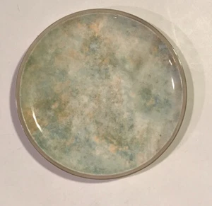 Piatto in ceramica Villeroy & Boch Artes. Fiume prato 8,5 pollici - Foto 1 di 2