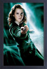 HARRY POTTER HERMINE EMMA WATSON 13x19 GERAHMTES GELCOAT POSTER GESCHENK MAGISCHER ZAUBERER!