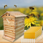 AUTO Beehive Beekeeping Hive Complete Bee Set +7 Plastic Honey Bee hive Frames