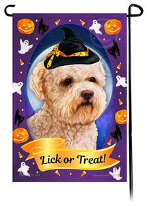 Halloween Garten Flagge - Orange Lagotto Romagnolo - Bild 1 von 1