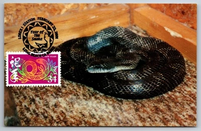 3500 Chinese Lunar New Year, Year of the Snake Maxi Card - Image 1 of 2
