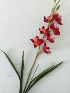 Artificial Cymbidium Orchid plant with roots Burgundy Pink Center - Picture 1 of 6