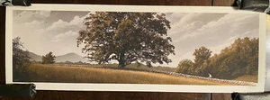 The Shawshank Redemption 69/75 Movie Poster Variant Art Print mondo JC Richard - Picture 1 of 10