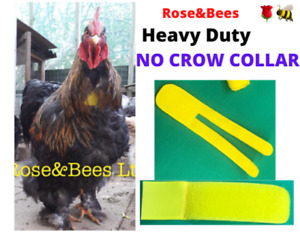 Heavy Duty Crow Reduction Collar Crow Quieting Rooster Gobble Hobbler Shamos NEW