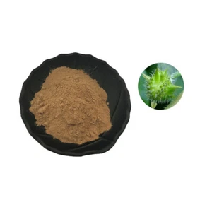 Tribulus Terrestris 90% Saponin Testerone Booster Muscle Mass 100g~500g - Picture 1 of 1