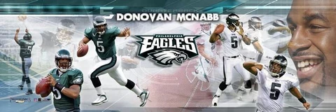 Donovan McNabb Quarterback Philadelphia Eagles Photoramic #1031 Cover