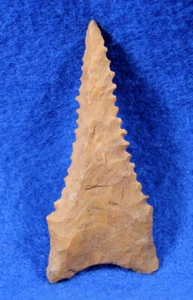 Dalton Nucholls Point Authentic Prehistoric Arrowhead Artifact Native Indian - Picture 1 of 8