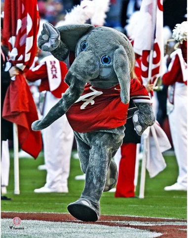 Alabama Crimson Tide Unsigned Big Al Running Photograph Cover