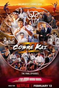 COBRA KAI SEASON 6 Poster 13x19 inches #9 Free Shipping - Picture 1 of 1