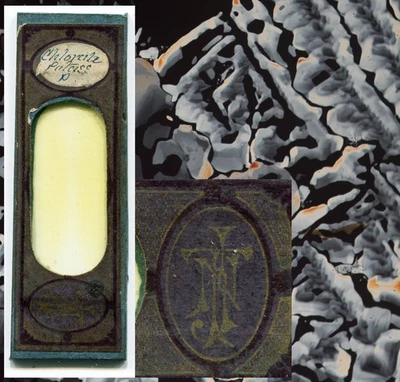 Diapositiva microscopio cristales químicos de clorito de potasio JT Norman años 1850 Foto 1 de 4